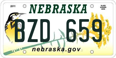 NE license plate BZD659