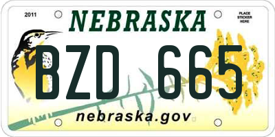 NE license plate BZD665
