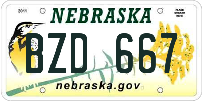 NE license plate BZD667
