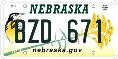NE license plate BZD671