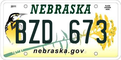 NE license plate BZD673