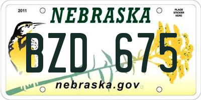 NE license plate BZD675