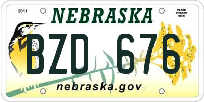 NE license plate BZD676