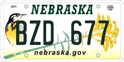 NE license plate BZD677