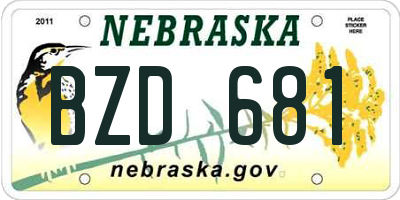 NE license plate BZD681