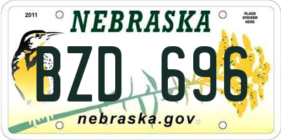 NE license plate BZD696