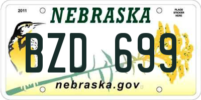 NE license plate BZD699