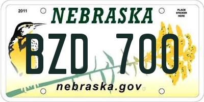 NE license plate BZD700