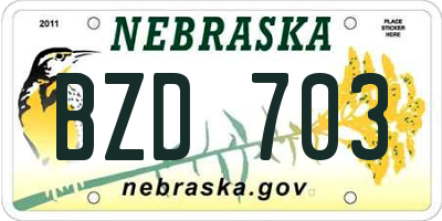 NE license plate BZD703