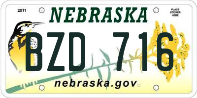NE license plate BZD716