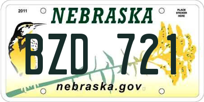 NE license plate BZD721