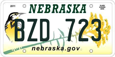 NE license plate BZD723