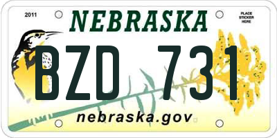 NE license plate BZD731