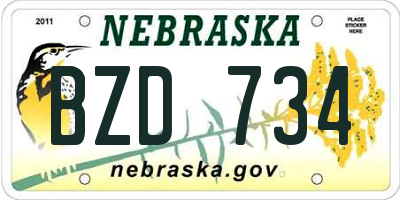 NE license plate BZD734