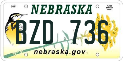 NE license plate BZD736