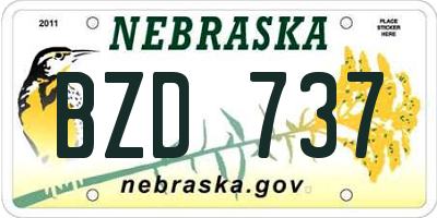 NE license plate BZD737