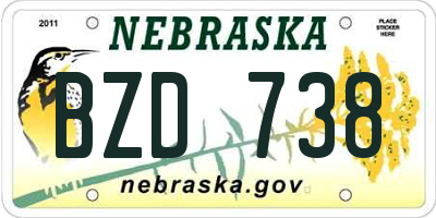 NE license plate BZD738