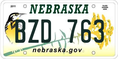 NE license plate BZD763