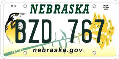 NE license plate BZD767