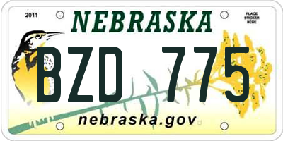 NE license plate BZD775
