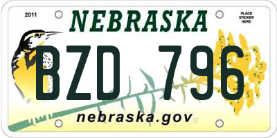 NE license plate BZD796