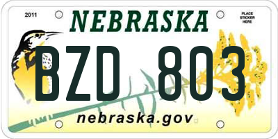 NE license plate BZD803