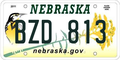 NE license plate BZD813