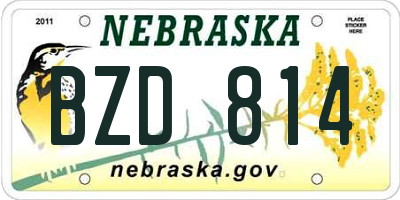 NE license plate BZD814