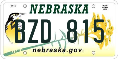 NE license plate BZD815