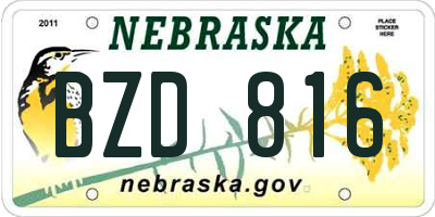 NE license plate BZD816