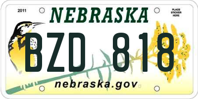 NE license plate BZD818