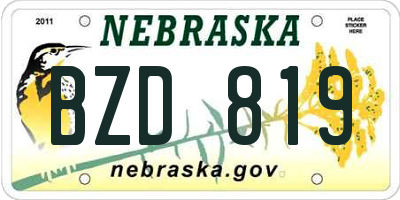 NE license plate BZD819