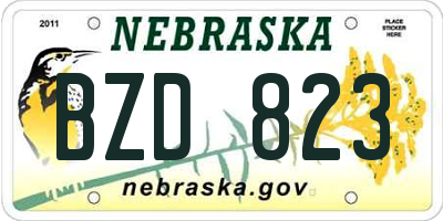 NE license plate BZD823