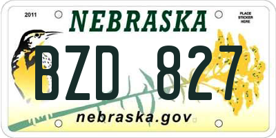 NE license plate BZD827