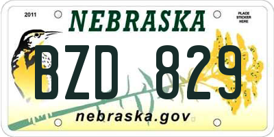 NE license plate BZD829
