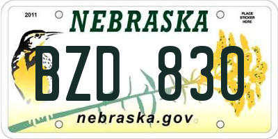 NE license plate BZD830