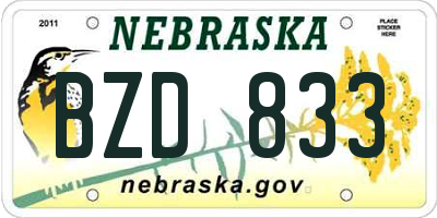 NE license plate BZD833