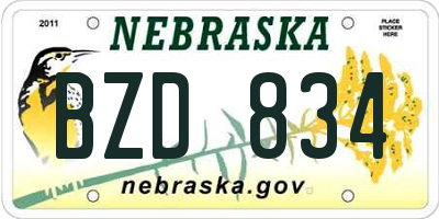 NE license plate BZD834