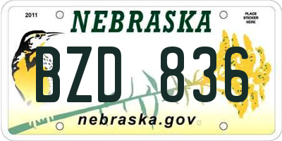 NE license plate BZD836