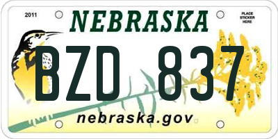 NE license plate BZD837
