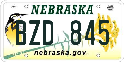 NE license plate BZD845