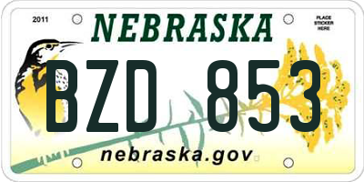 NE license plate BZD853