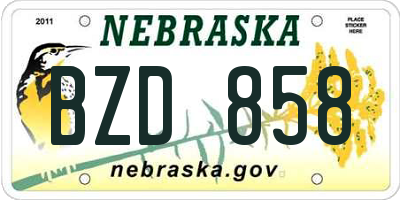 NE license plate BZD858