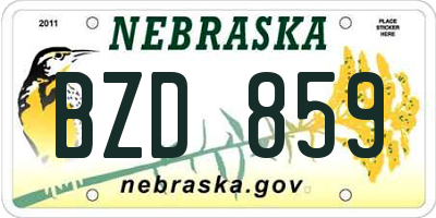 NE license plate BZD859