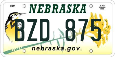 NE license plate BZD875