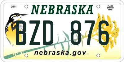 NE license plate BZD876