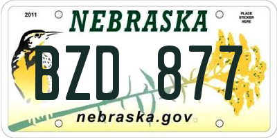 NE license plate BZD877