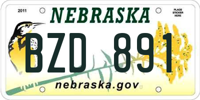 NE license plate BZD891