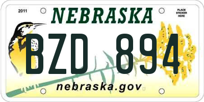 NE license plate BZD894
