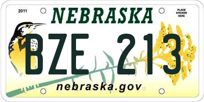 NE license plate BZE213